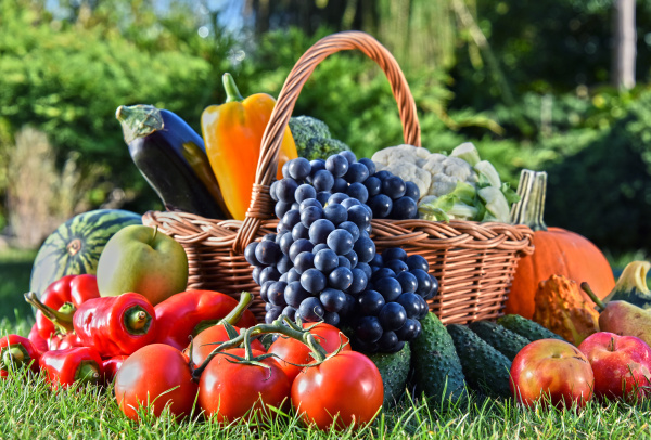 Vielfalt An Frischem Bio Gem Se Und Obst Im Garten Stock Photo