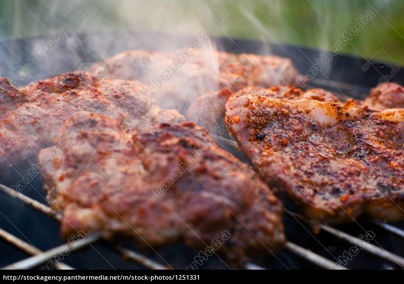 Gebratenes Fleisch Auf Dem Grill Lizenzfreies Bild 1251331