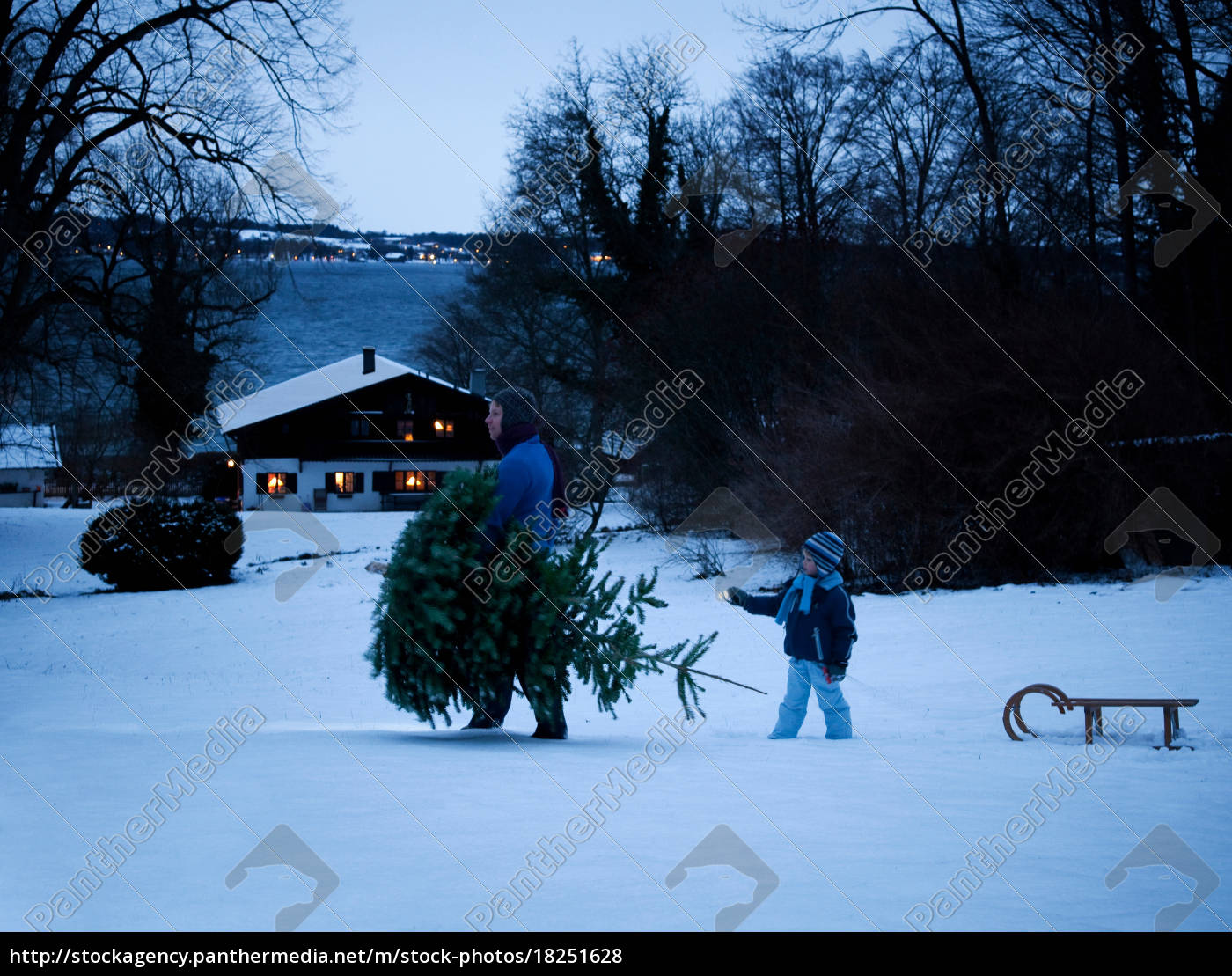 Vater Und Sohn Tragen Weihnachtsbaum Lizenzfreies Foto