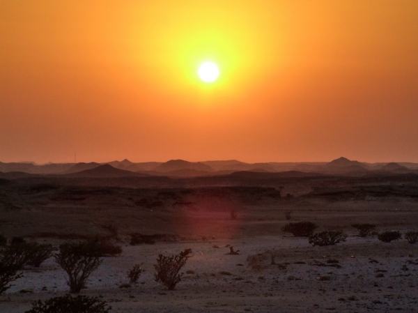 Oman Frankencense Park of Wadi Dawkah - Lizenzfreies Bild #787813
