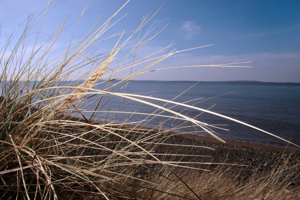 strand duenen kueste irland landschaftlich szenisch