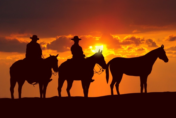 cowboys und pferde unter sonnenuntergang