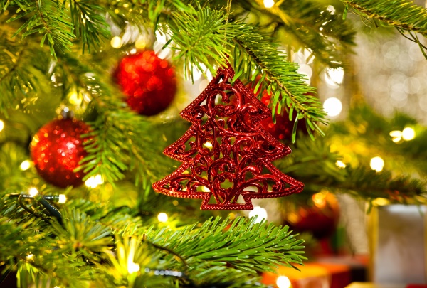 ornament in einem echten weihnachtsbaum