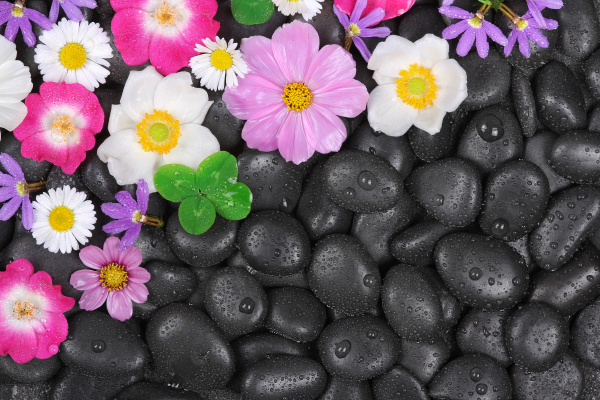 stones with flowers and waterdrops