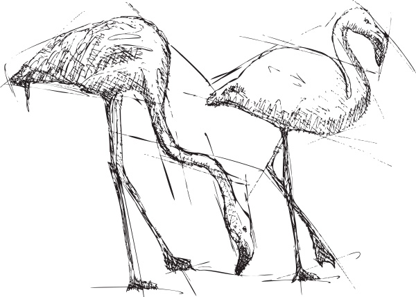 skizzieren sie illustration von flamingos