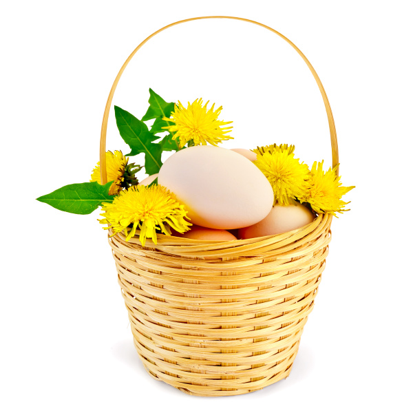 huhn mit ei clipart flower