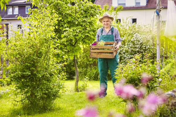 garten gaertner strohhut tragen kiste pflanzen