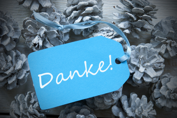 light-blue-label-on-fir-cones-danke-mean-thank-you-lizenzfreies-bild