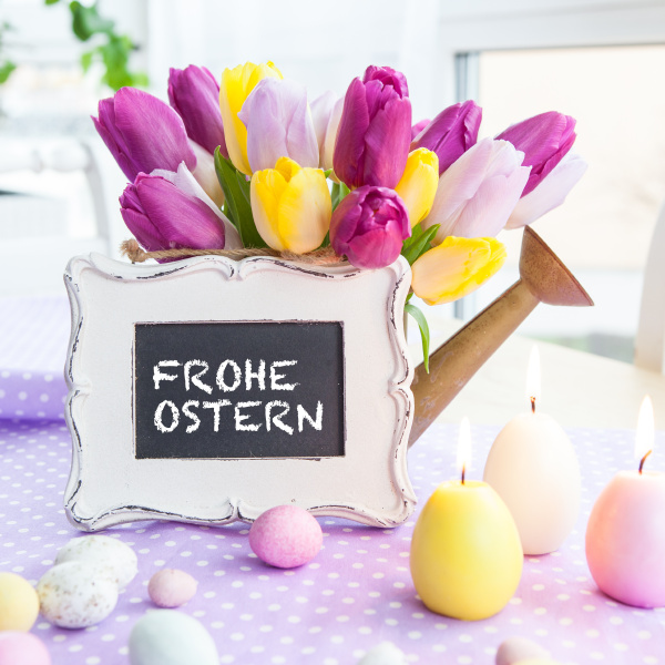 bunte tulpen auf lila