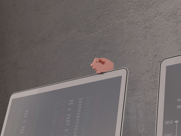 holz schwein spielzeug auf dem laptop
