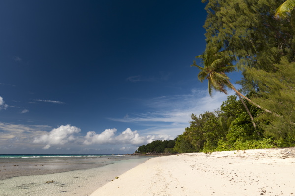 anse severe beach la digue seychellen