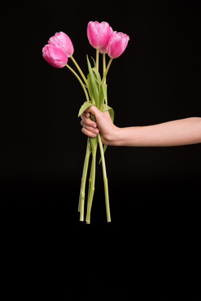 teilansicht der frau schoene rosa tulpen