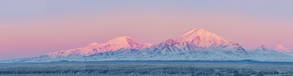 panoramablick der wrangell berge ueber dem