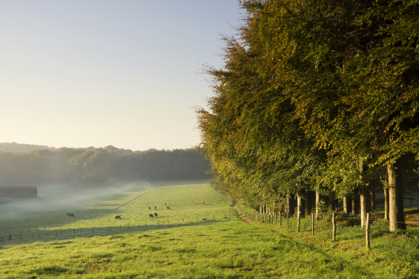 mariendaal estate near arnhem