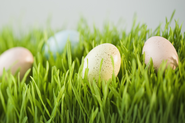 verzierte eier im gras