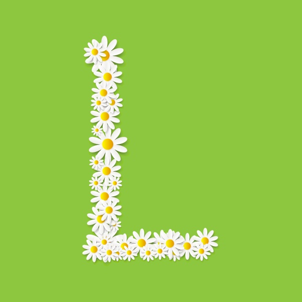 flora daisy design alphabet vector illustartion