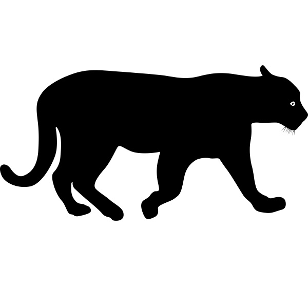 silhouette schoene panther auf weissem hintergrund