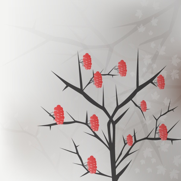 viburnum zweig mit roten beeren trauben