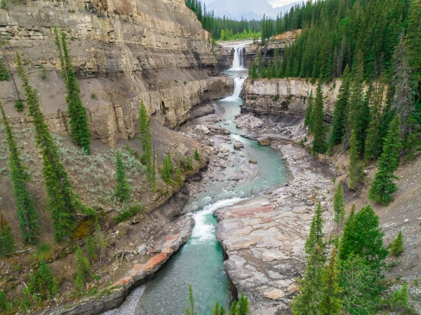 luftaufnahme eines wasserfalls der zwischen pinienwald