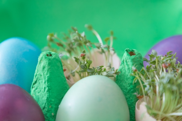 dekorative handgefertigte ostereier geschenkbox mit eiern