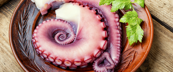 frische tentakel von oktopus
