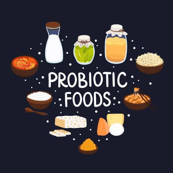 vektor probiotische lebensmittel beste quellen