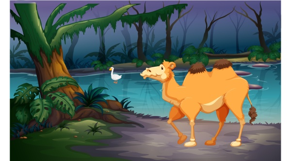 kamel kommt um wasser im waldfluss