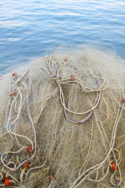 fischernetz