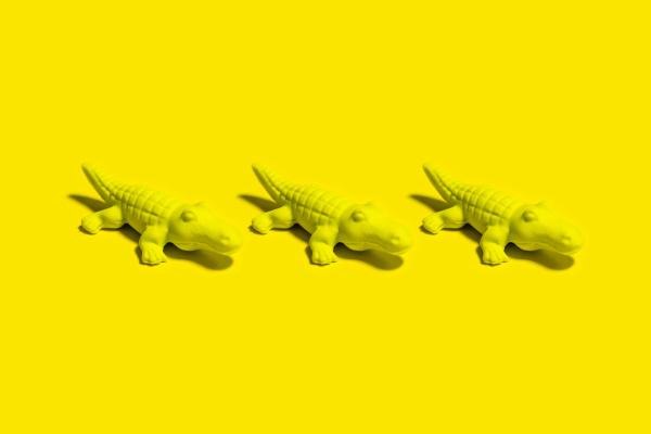 studioaufnahme von drei kleinen krokodilfiguren