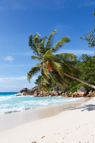 seychellen anse georgette strand praslin insel