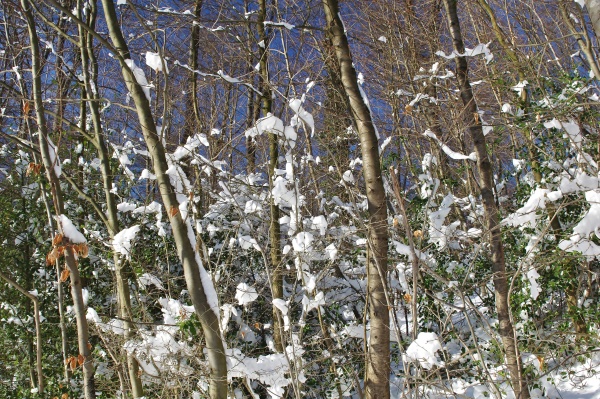 winter in bielefeld ostwestfalen lippe nordrhein