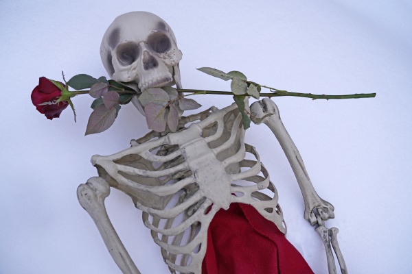ewige liebe skelett mit roter rose