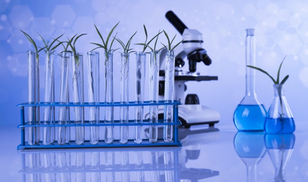 chemische laborglaswaren gentechnisch veraenderte pflanze