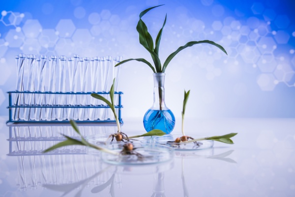 chemische ausruestung pflanzen labor experimentell