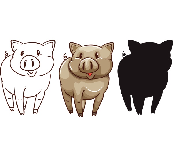 skizzen eines schweins