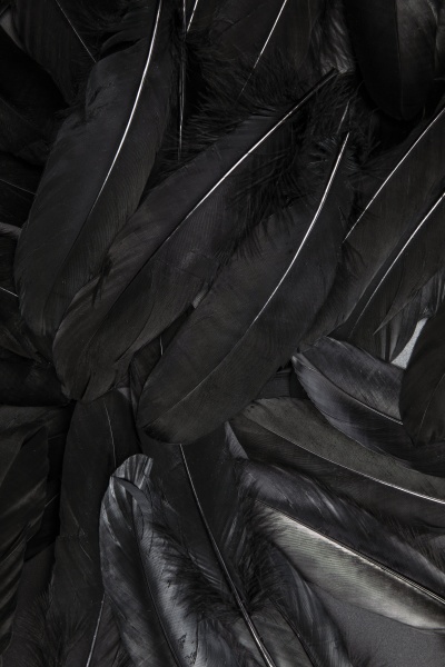 schwarze feder abstrakte hintergrund textur dunkles