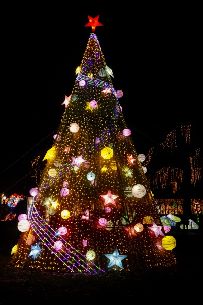 weihnachtsbaum im freien nachts beleuchtet