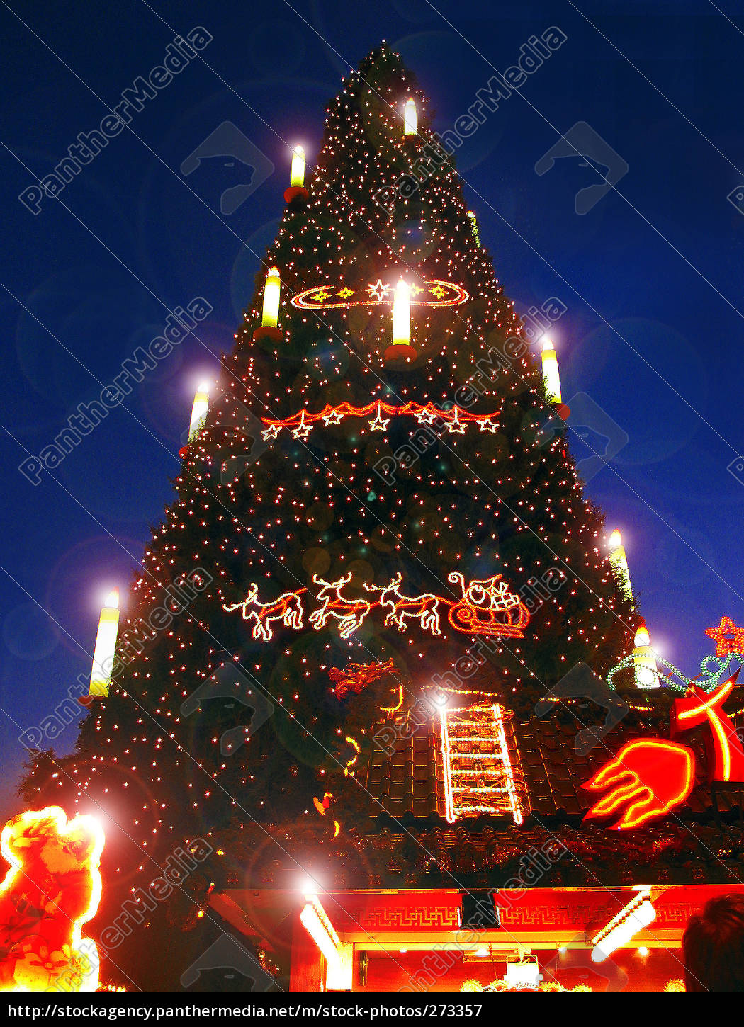 Grosster Weihnachtsbaum Der Welt Stockfoto 273357 Bildagentur Panthermedia