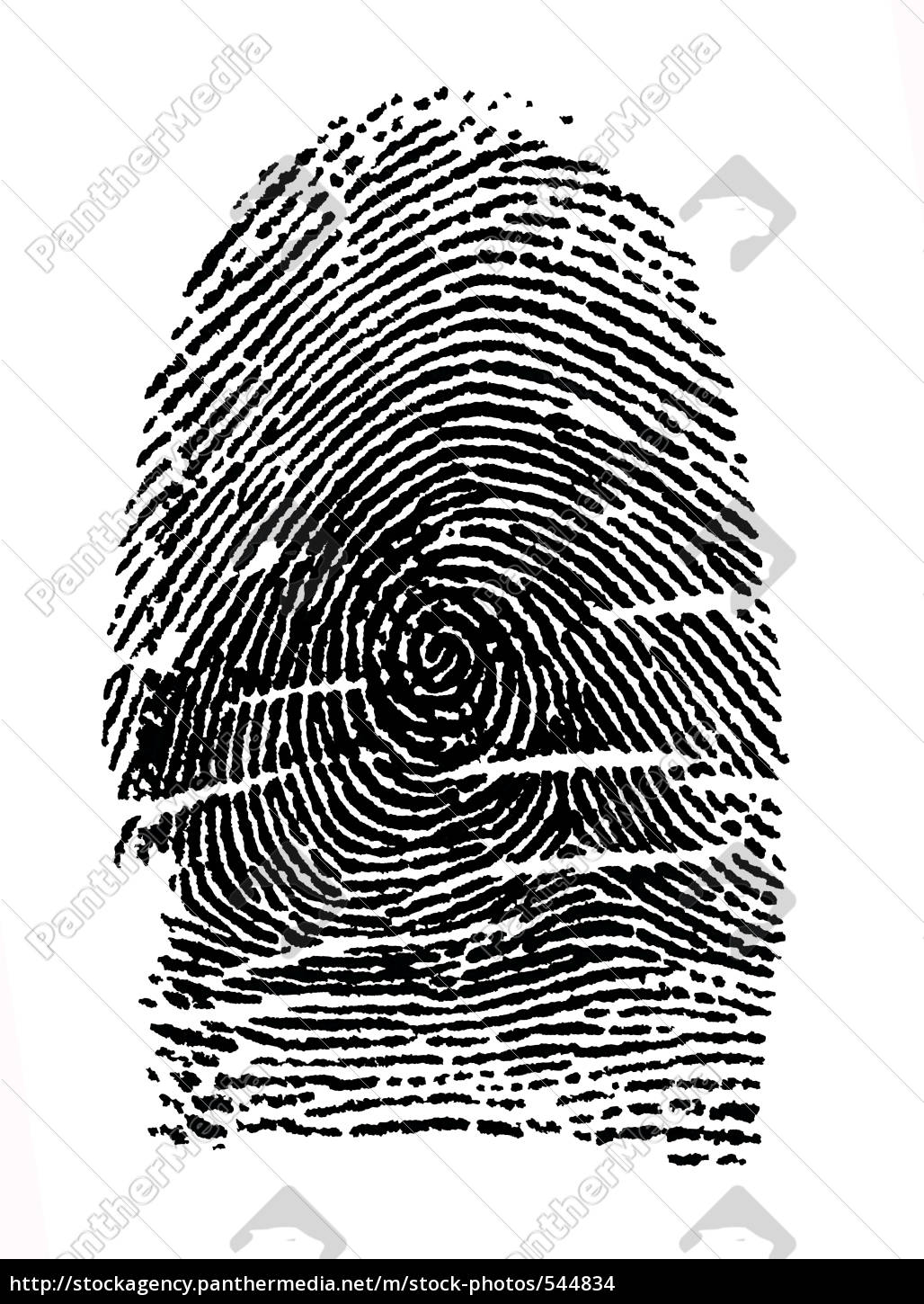 Fingerprint - Stock Photo - #544834 | Bildagentur PantherMedia