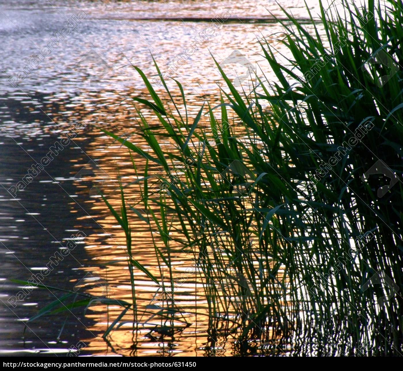 Romantische Abendstimmung Am See Stock Photo 631450 Bildagentur Panthermedia