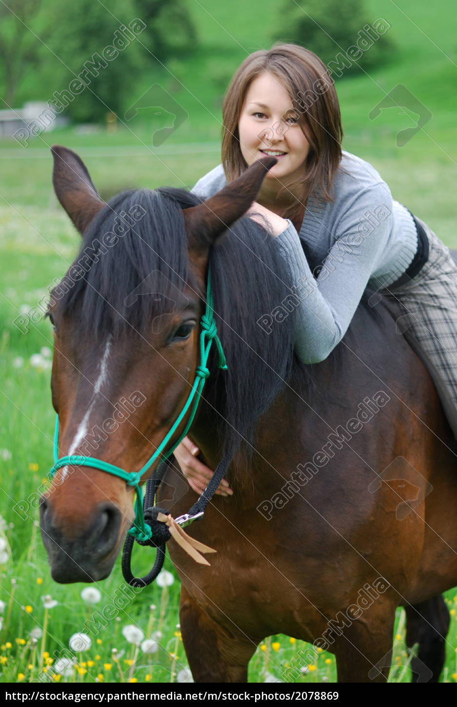 Frauen pferde