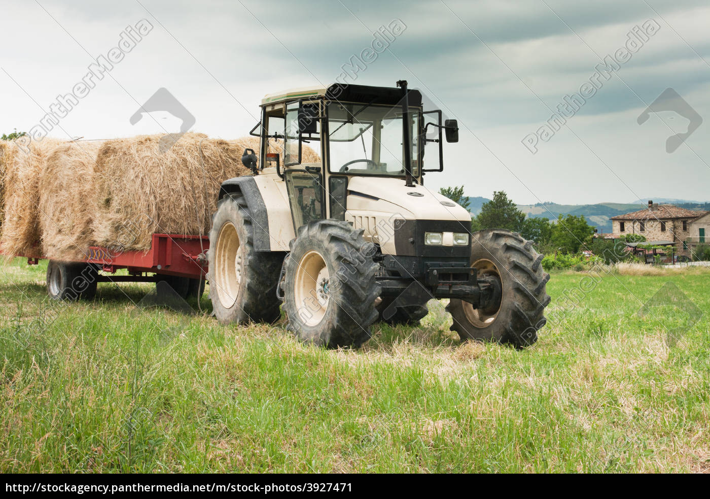 Landwirtschaft in den Marken Italien - Stockfoto - #3927471
