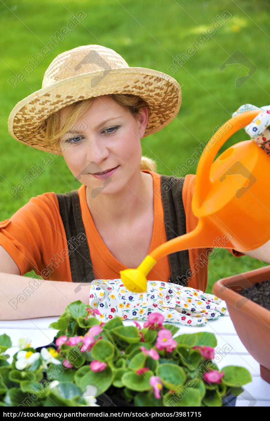 Junge Frau Blumen Giessen Lizenzfreies Bild 3981715 Bildagentur Panthermedia