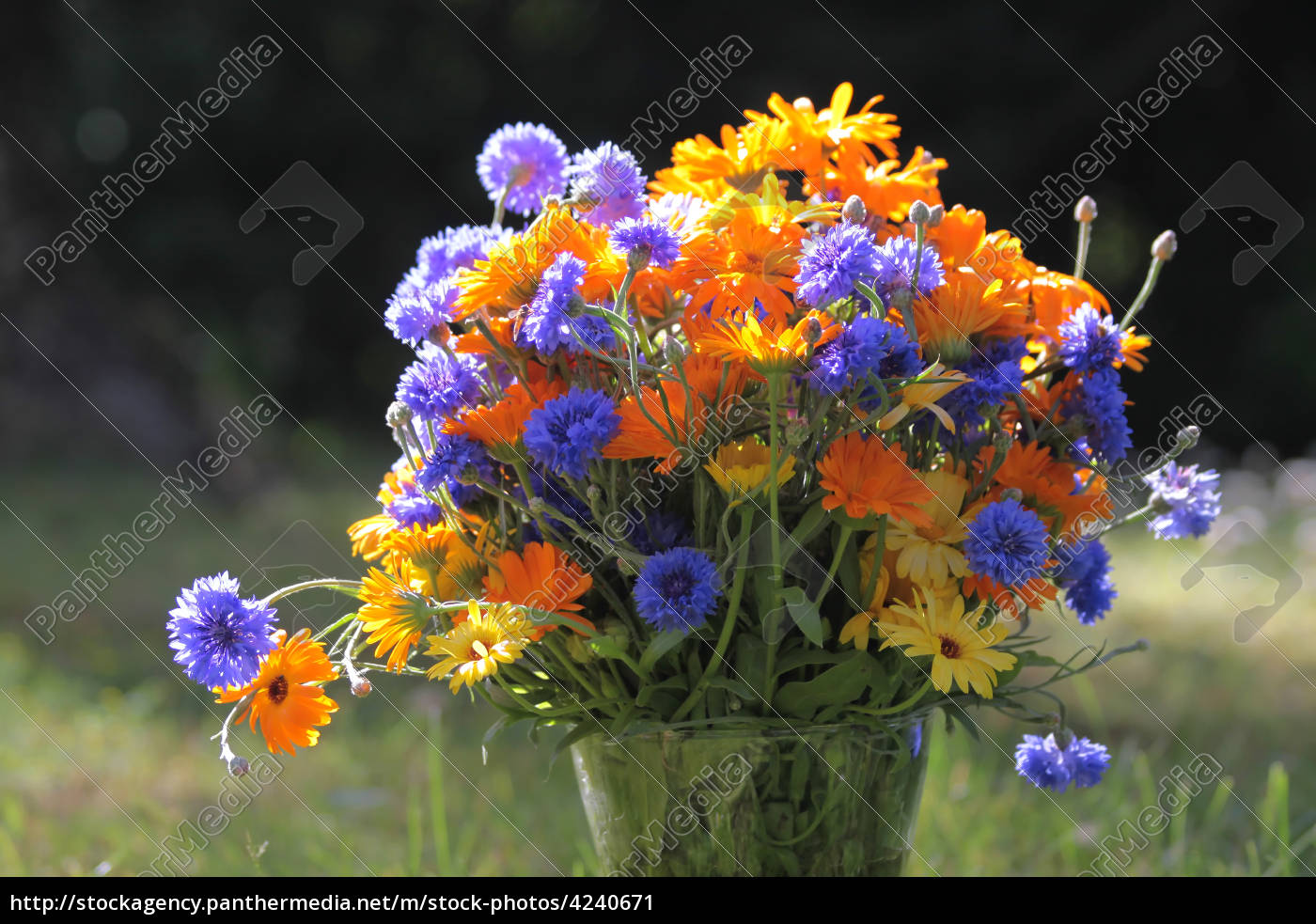 Bunter Blumenstrauss Stockfoto Bildagentur Panthermedia