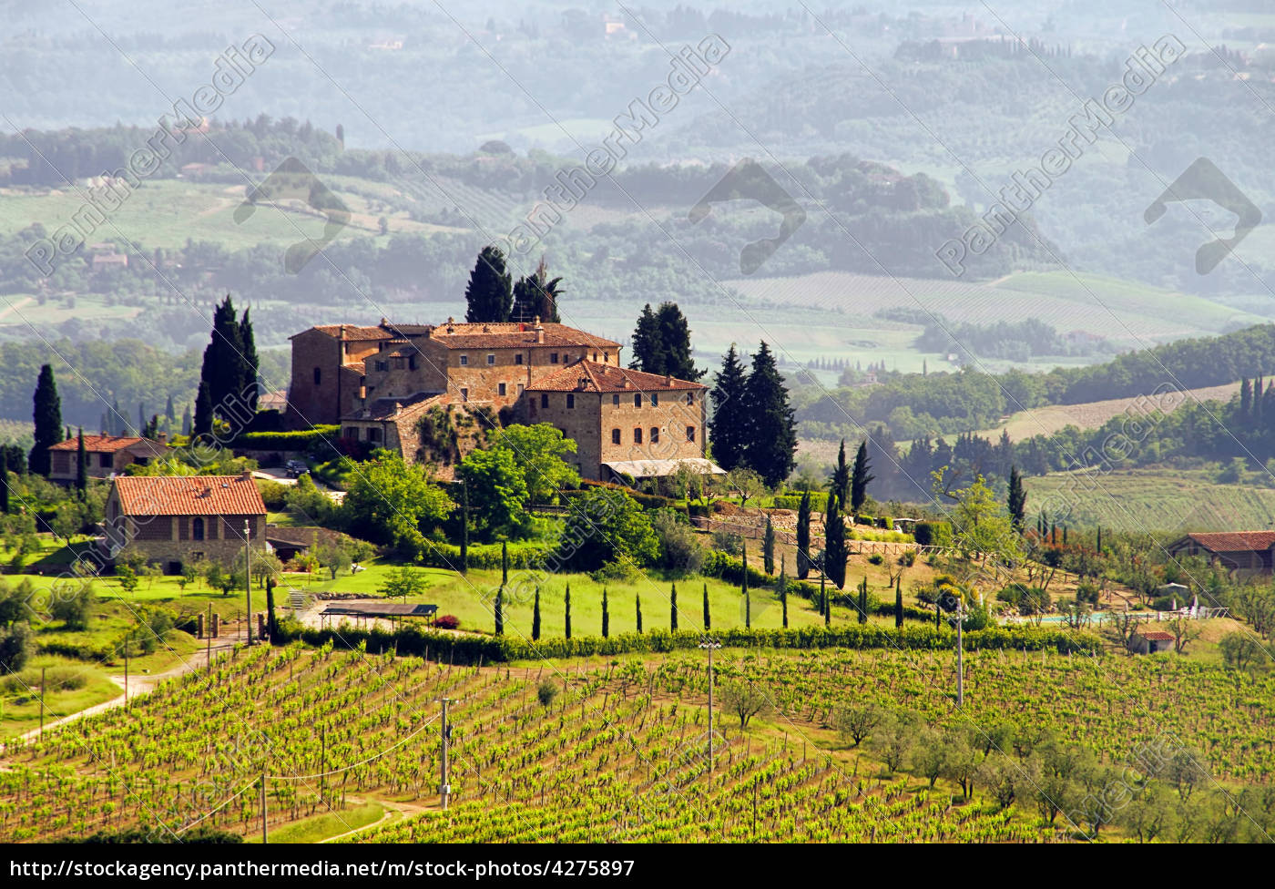 Toskana Weingut Tuscany Vineyard 03 Stockfoto Bildagentur Panthermedia