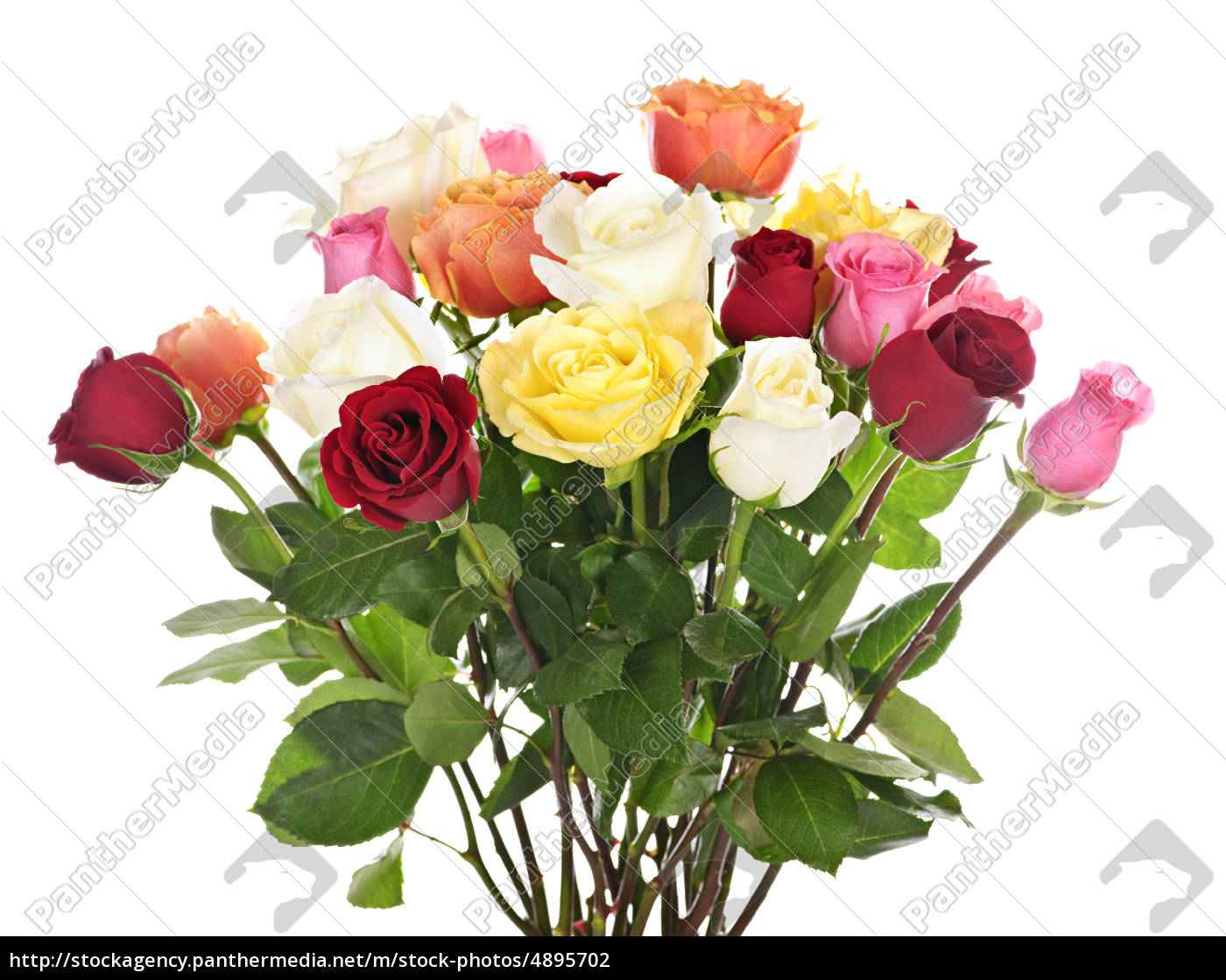 Blumenstrauss Aus Rosen Stock Photo Bildagentur Panthermedia