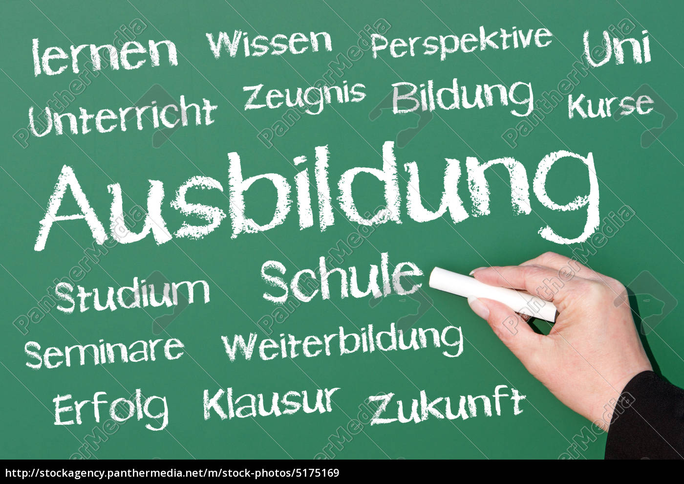 Ausbildung Schule Studium Bildung Lizenzfreies Bild Bildagentur Panthermedia