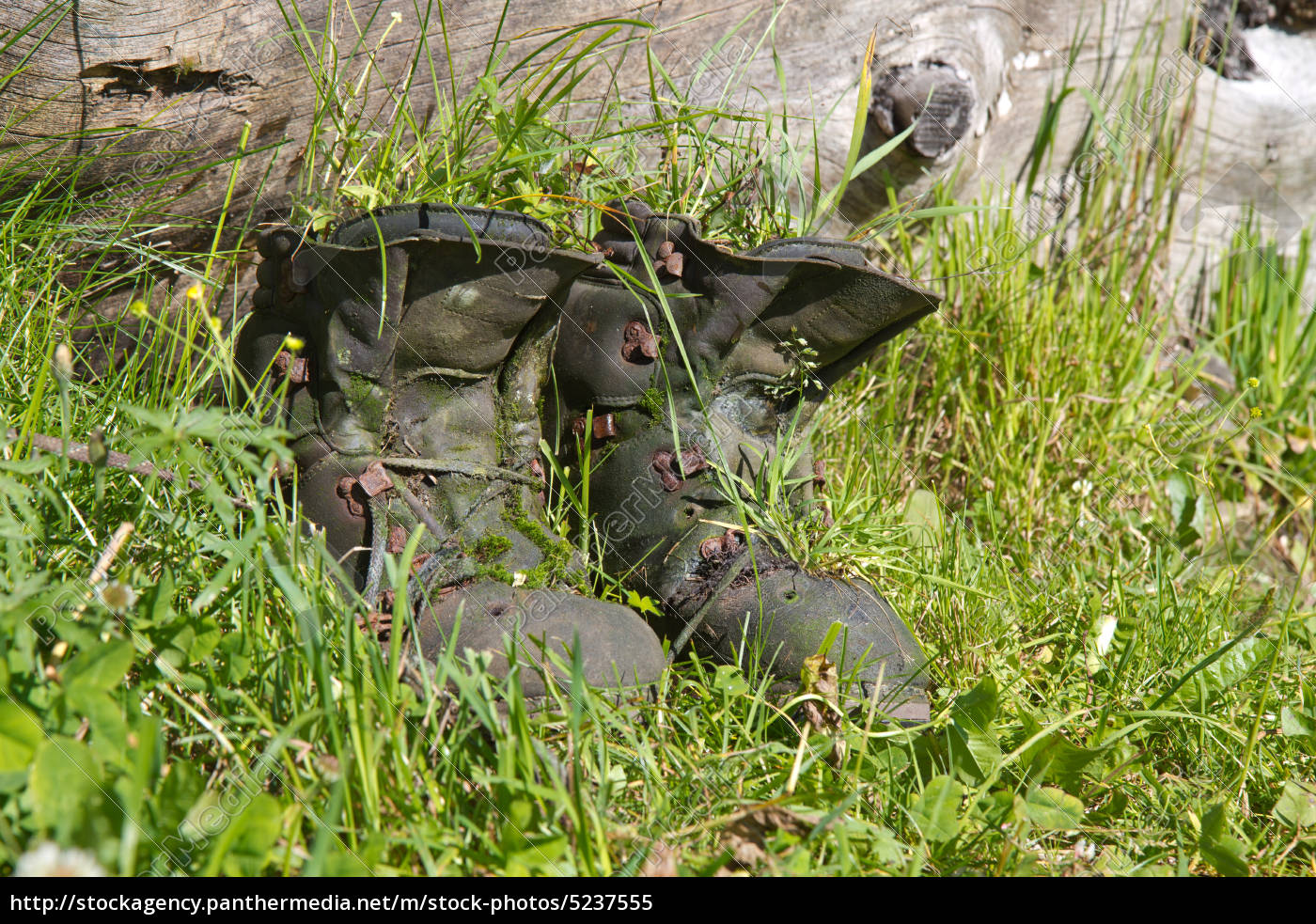 Alte Wanderschuhe Mit Gras Uberwuchert Lizenzfreies Bild Bildagentur Panthermedia