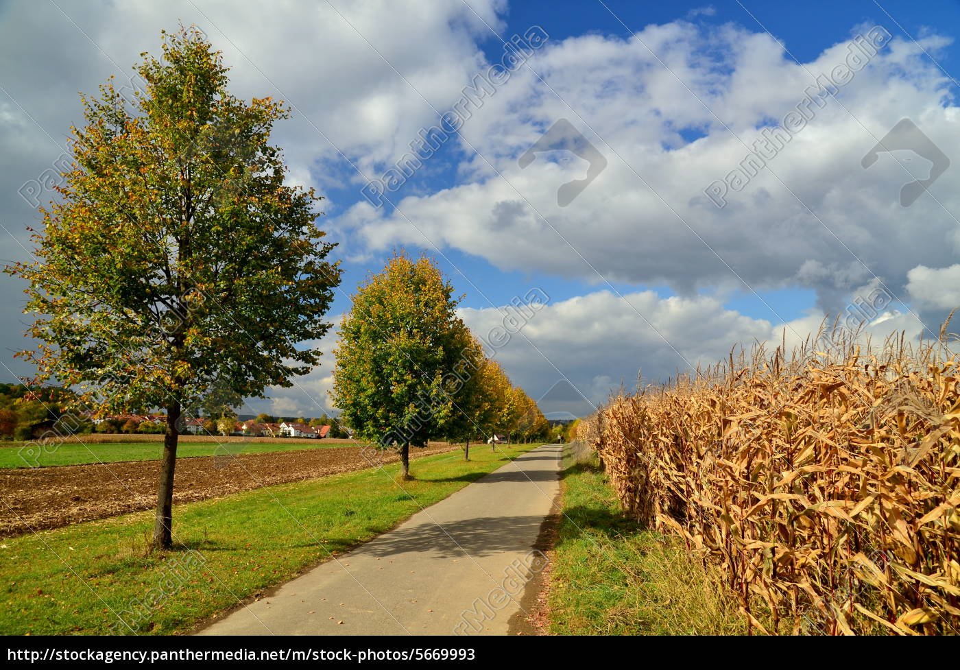 Herbstlandschaft Lizenzfreies Bild 5669993 Bildagentur Panthermedia