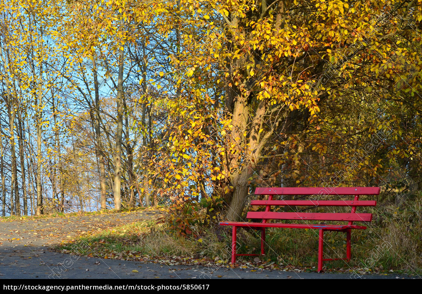 Herbst Farben Laub Bank Lizenzfreies Bild 5850617 Bildagentur Panthermedia